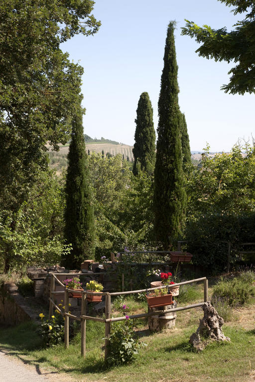 Agriturismo Podere Olivello In Val D'Orcia Μονταλτσίνο Εξωτερικό φωτογραφία