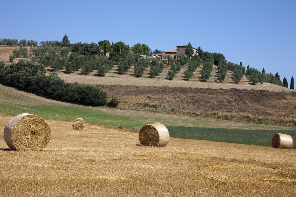 Agriturismo Podere Olivello In Val D'Orcia Μονταλτσίνο Εξωτερικό φωτογραφία