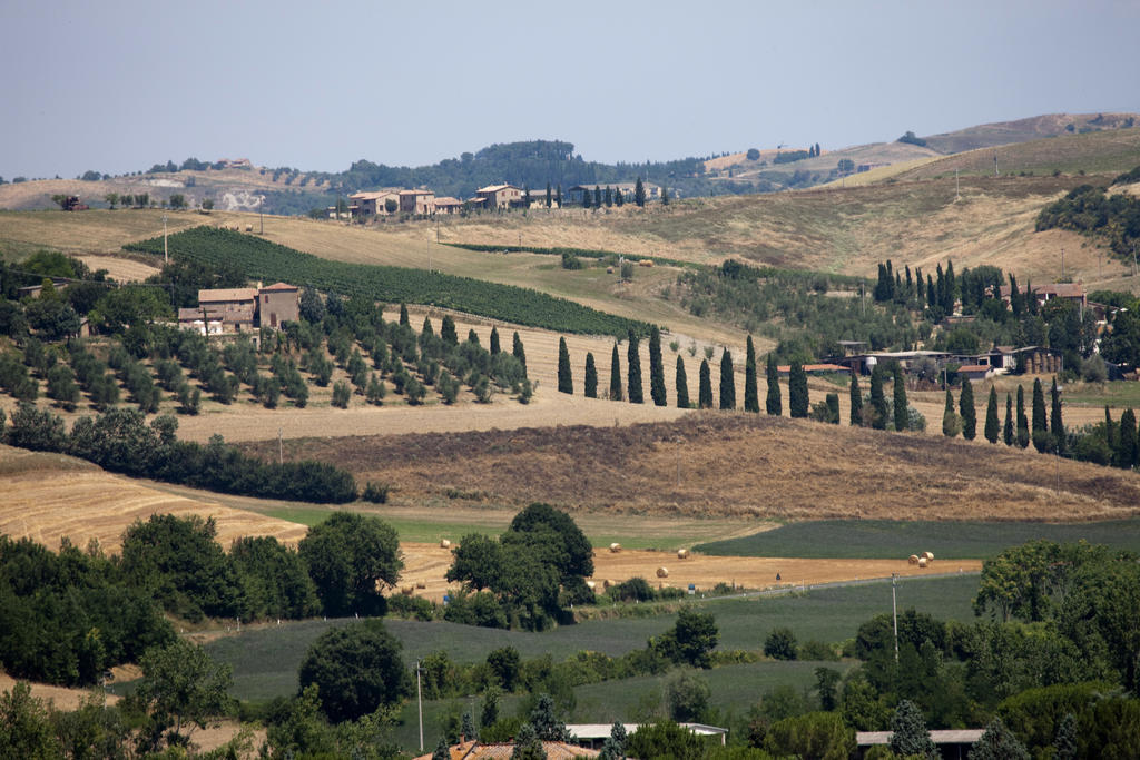 Agriturismo Podere Olivello In Val D'Orcia Μονταλτσίνο Εξωτερικό φωτογραφία